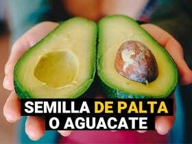 Image of split palta (avocado) showing seed.